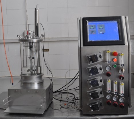 Animal cell bioreactor (magnetic transmission)