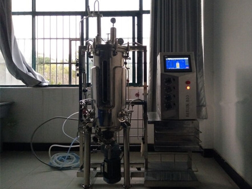 Magnetic stirring fermenter|bioreactor