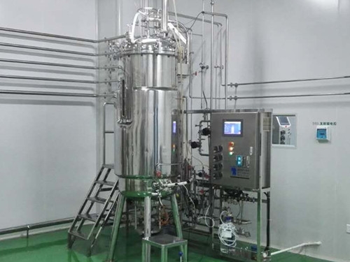 500 l fermenter (under the bottom of the mechanical agitation)